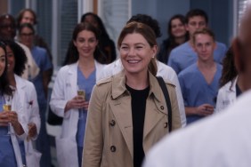 Grey's Anatomy Season 19 Streaming Where to Watch