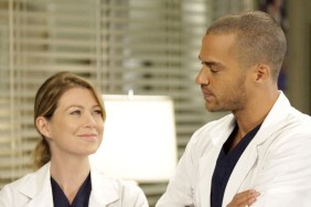Grey's Anatomy Season 9 Streaming Where to Watch