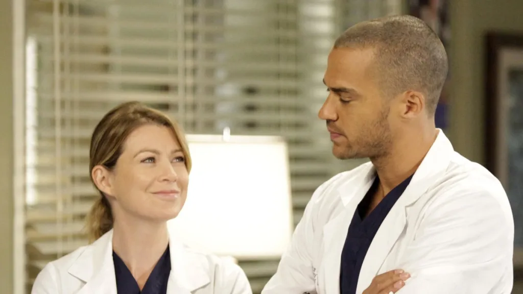 Grey's Anatomy Season 9 Streaming Where to Watch