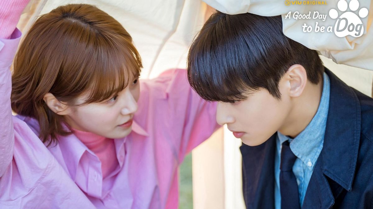 A Good Day to Be a Dog Teaser Sees Park Gyu Young Kiss Cha Eun Woo to Undo Her Curse
