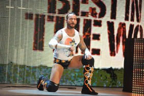 CM Punk WWE Söylentileri Survivor Serisinin Geri Dönüşünü Anlatıyor