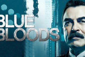 Blue Bloods Season 10 Streaming: Watch & Stream Online via Paramount Plus