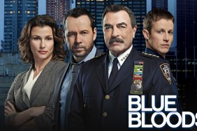 Blue Bloods Season 6 Streaming: Watch & Stream Online via Hulu & Paramount Plus