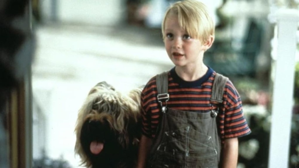 Dennis the Menace Streaming: Watch & Stream Online via HBO Max