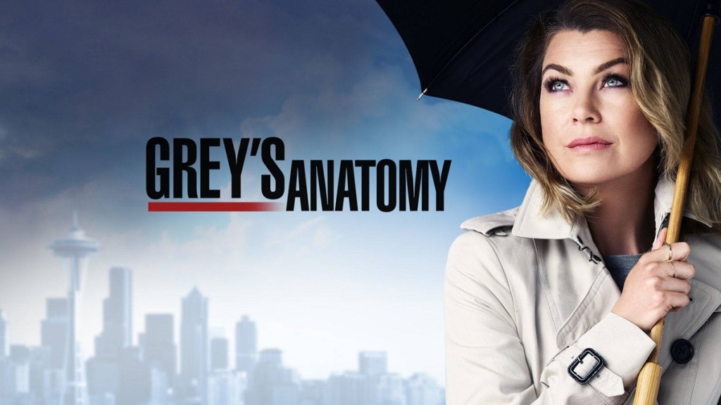 Grey's Anatomy Season 12 Streaming: Watch & Stream Online via Netflix