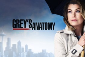 Grey's Anatomy Season 12 Streaming: Watch & Stream Online via Netflix