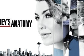 Grey's Anatomy Season 14 Streaming: Watch & Stream Online via Netflix