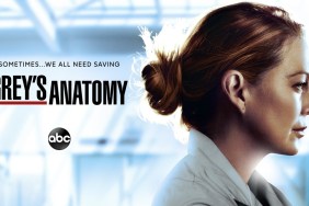Grey's Anatomy Season 15 Streaming: Watch & Stream Online via Netflix