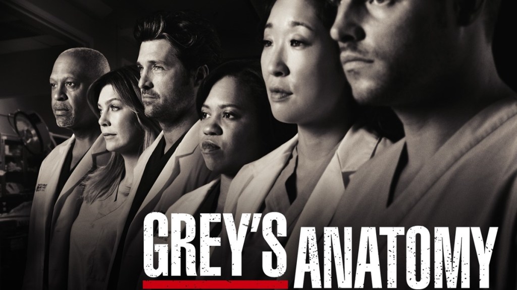 Grey's Anatomy Season 6 Streaming: Watch & Stream Online via Netflix