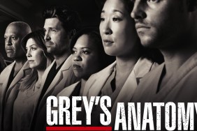 Grey's Anatomy Season 6 Streaming: Watch & Stream Online via Netflix