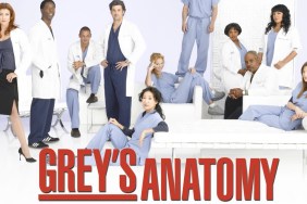 Grey's Anatomy Season 7 Streaming: Watch & Stream Online via Netflix