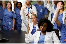 Grey's Anatomy Season 13 Streaming: Watch & Stream Online via Netflix