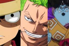 Luffy, Zoro, Jinbe from One Piece