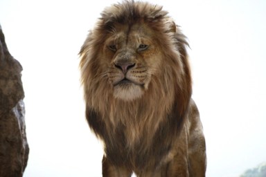 Mufasa: The Lion King plot details