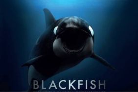Blackfish (2013) Streaming: Watch & Stream Online via Amazon Prime Video