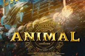 Animal day 4 collection