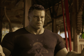 Mark Ruffalo on a Standalone Incredible Hulk MCU Movie: ‘Hopefully One Day'