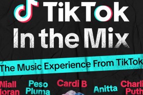 tiktok in the mix