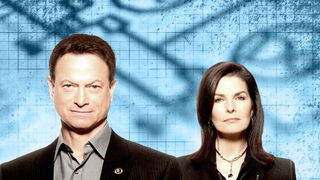 CSI: NY Season 8 Streaming: Watch & Stream Online via Hulu and Paramount Plus