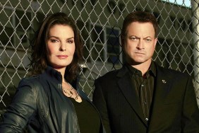 CSI: NY Season 9 Streaming: Watch & Stream Online via Hulu and Paramount Plus
