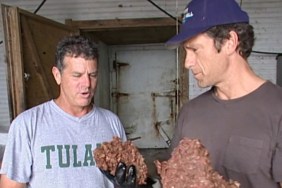 Dirty Jobs Season 1 Streaming: Watch & Stream Online via Hulu & HBO Max