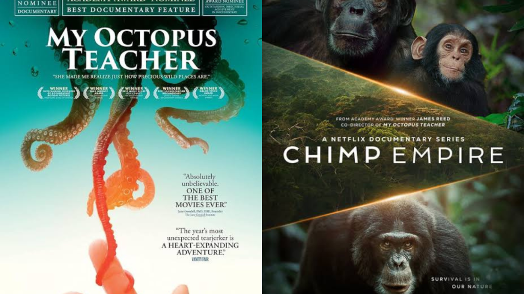 My Octopus Teacher and Chimp Empire official posters