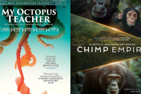 My Octopus Teacher and Chimp Empire official posters