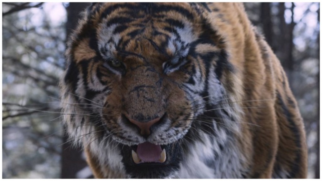 The Tiger (2015) Streaming: Watch & Stream Online via Amazon Prime Video