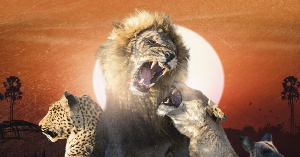 Savage Kingdom Season 3 Streaming: Watch & Stream Online via Disney Plus