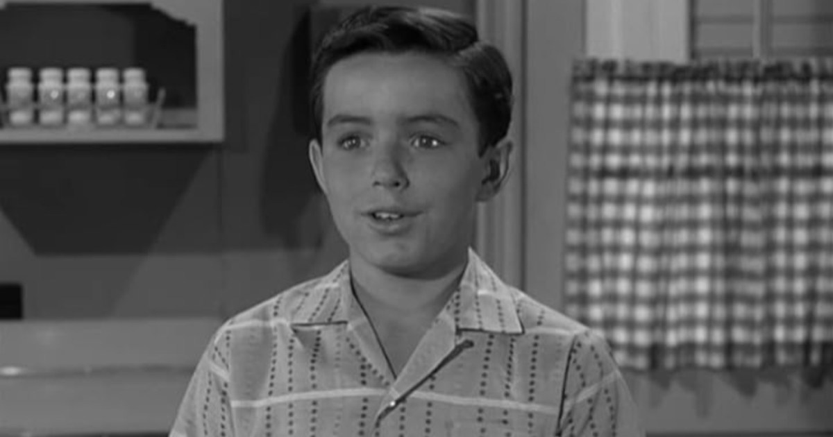 Leave It to Beaver (1957) Season 5 Streaming: Watch & Stream Online via
