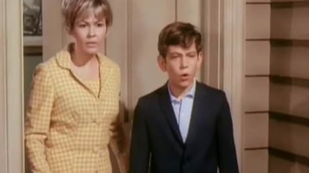 My Three Sons (1960) Season 8 Streaming: Watch & Stream Online via Amazon Prime Video
