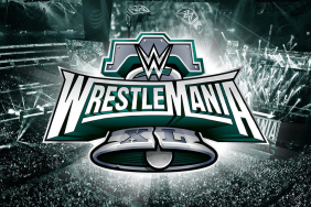 WWE WrestleMainia 40
