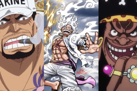 One-Piece-Joy-Boy-like-characters