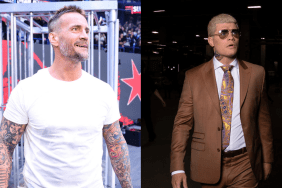 WWE Superstars CM Punk and Cody Rhodes