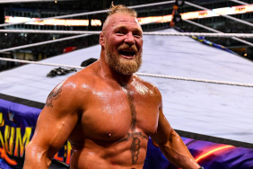 WWE Superstar Brock Lesnar