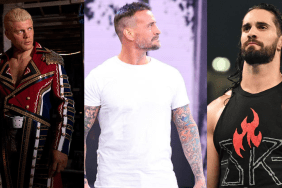WWE Superstars Cody Rhodes, CM Punk and Seth Rollins