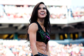 Former WWE Superstar AJ Lee