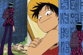 One-Piece-Poneglyphs