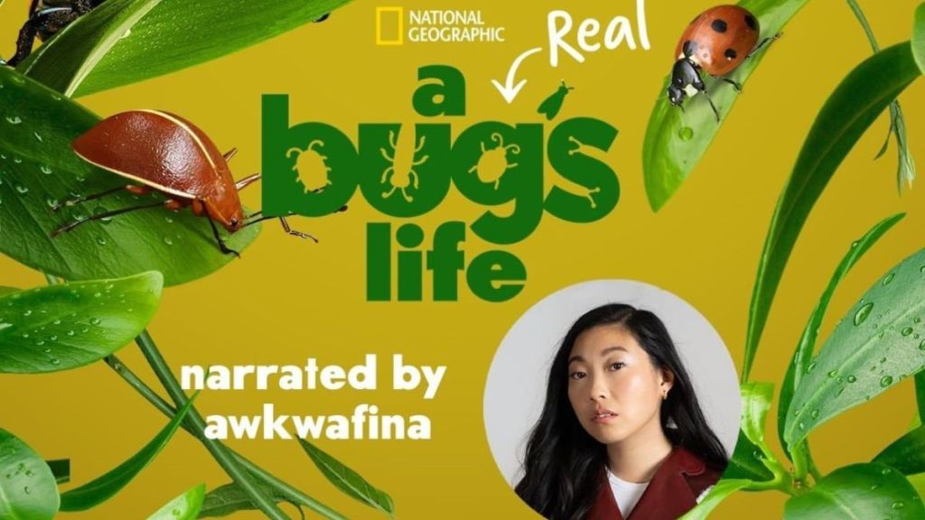A Real Bug's Life Streaming: Watch & Stream Online via Disney Plus