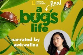 A Real Bug's Life Streaming: Watch & Stream Online via Disney Plus