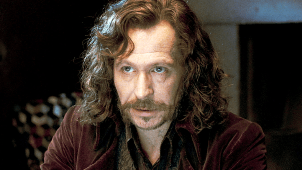 Gary Oldman Calls Himself 'Mediocre' in Harry Potter Movie