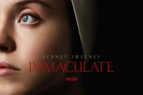 immaculate trailer