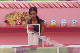Big Brother (US) Season 19 Streaming: Watch & Stream Online via Paramount Plus
