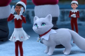 Elf Pets: A Fox Cub's Christmas Tale Streaming: Watch & Stream Online via Netflix