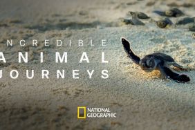 Incredible Animal Journeys (2023) Season 1