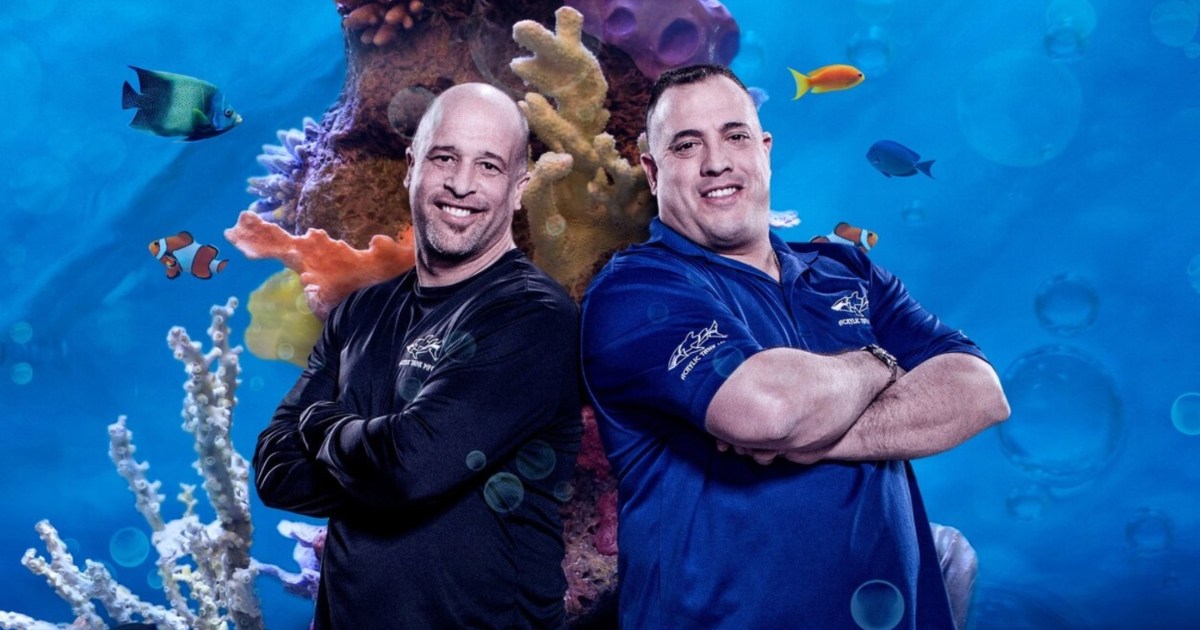Tanked Season 13 Streaming: Watch and Stream Online via HBO Max
