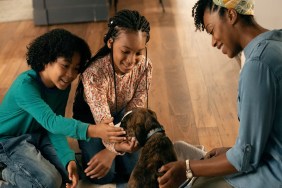 Puppy Place Season 2