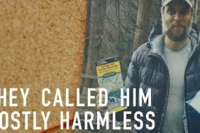 they-called-him-mostly-harmless