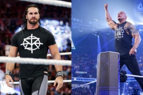 WWE Superstars Seth Rollins and The Rock