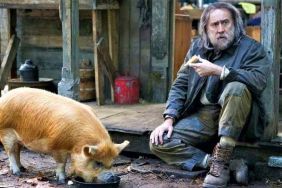 Pig (2021) Streaming: Watch & Stream Online via Hulu